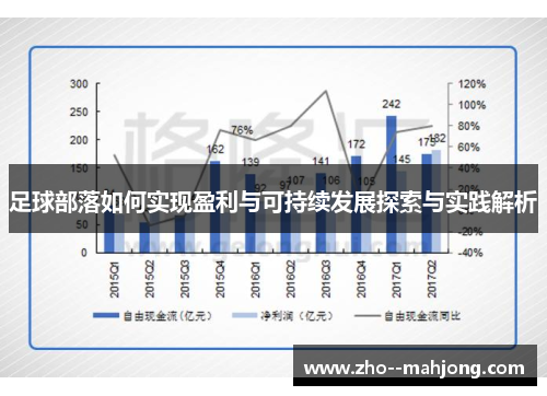 足球部落如何实现盈利与可持续发展探索与实践解析