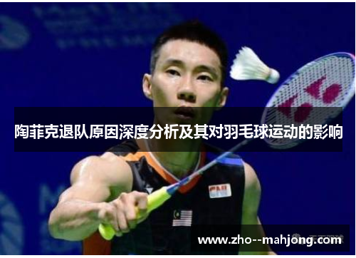 陶菲克退队原因深度分析及其对羽毛球运动的影响