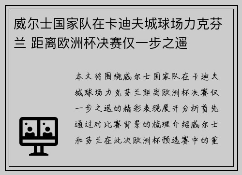 威尔士国家队在卡迪夫城球场力克芬兰 距离欧洲杯决赛仅一步之遥