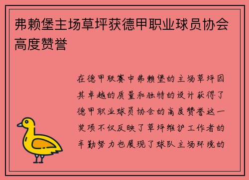 弗赖堡主场草坪获德甲职业球员协会高度赞誉